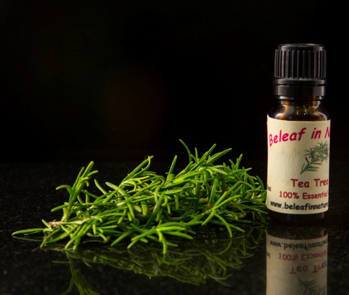 Tea-Tree-Oil-Essential-Oil