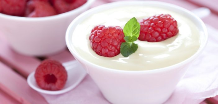 1417526108_milk-de-ert-desert-yogurt