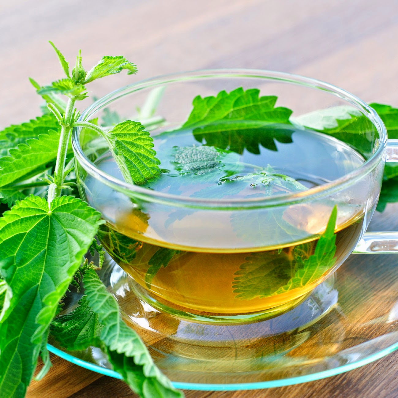 FreeGreatPicture.com-31609-Nettle-Tea