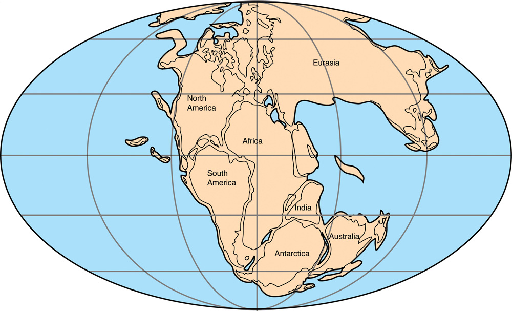 pangaea1000.