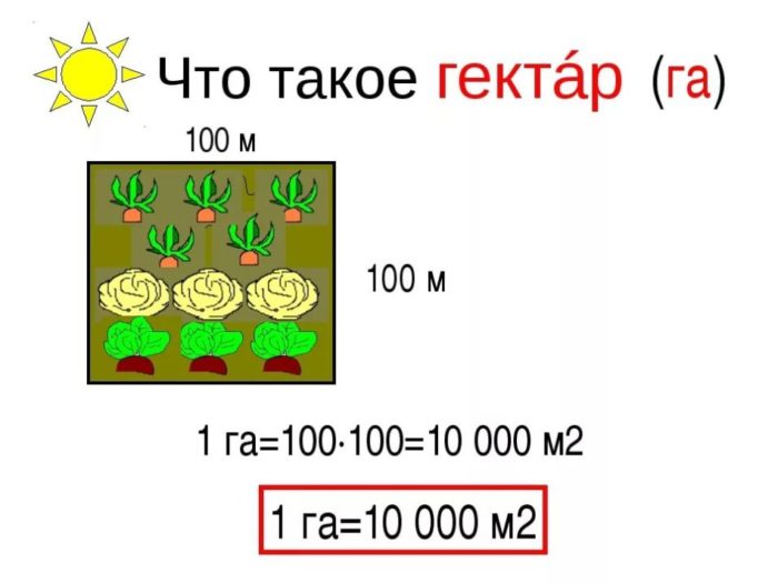 chto-TAKOE-GEKTAR