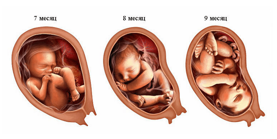 tRETIJ-Trimestr-Beremennosti-Razmer-I-Ves-Poda-Sostoyanie-Beremennoj-Neobhodimie-Analizy