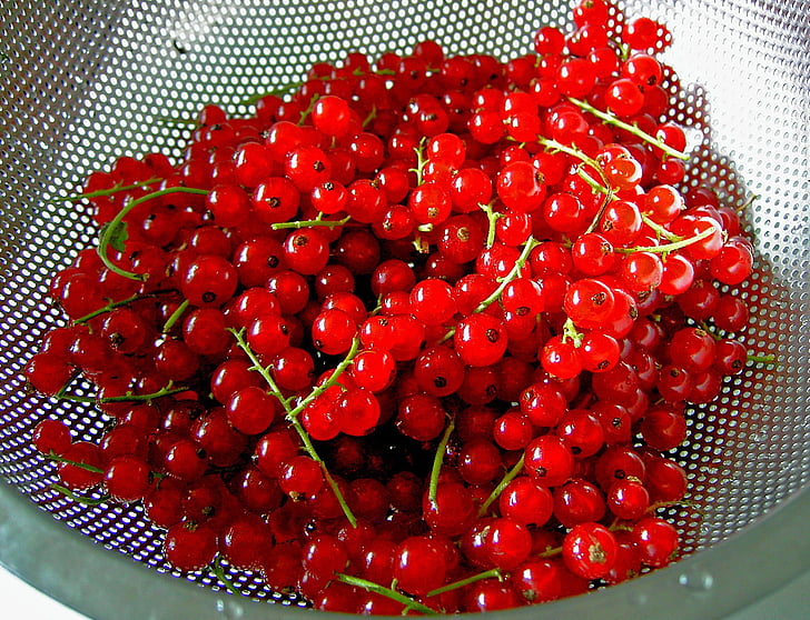 currants-berries-sour-sweet-preview